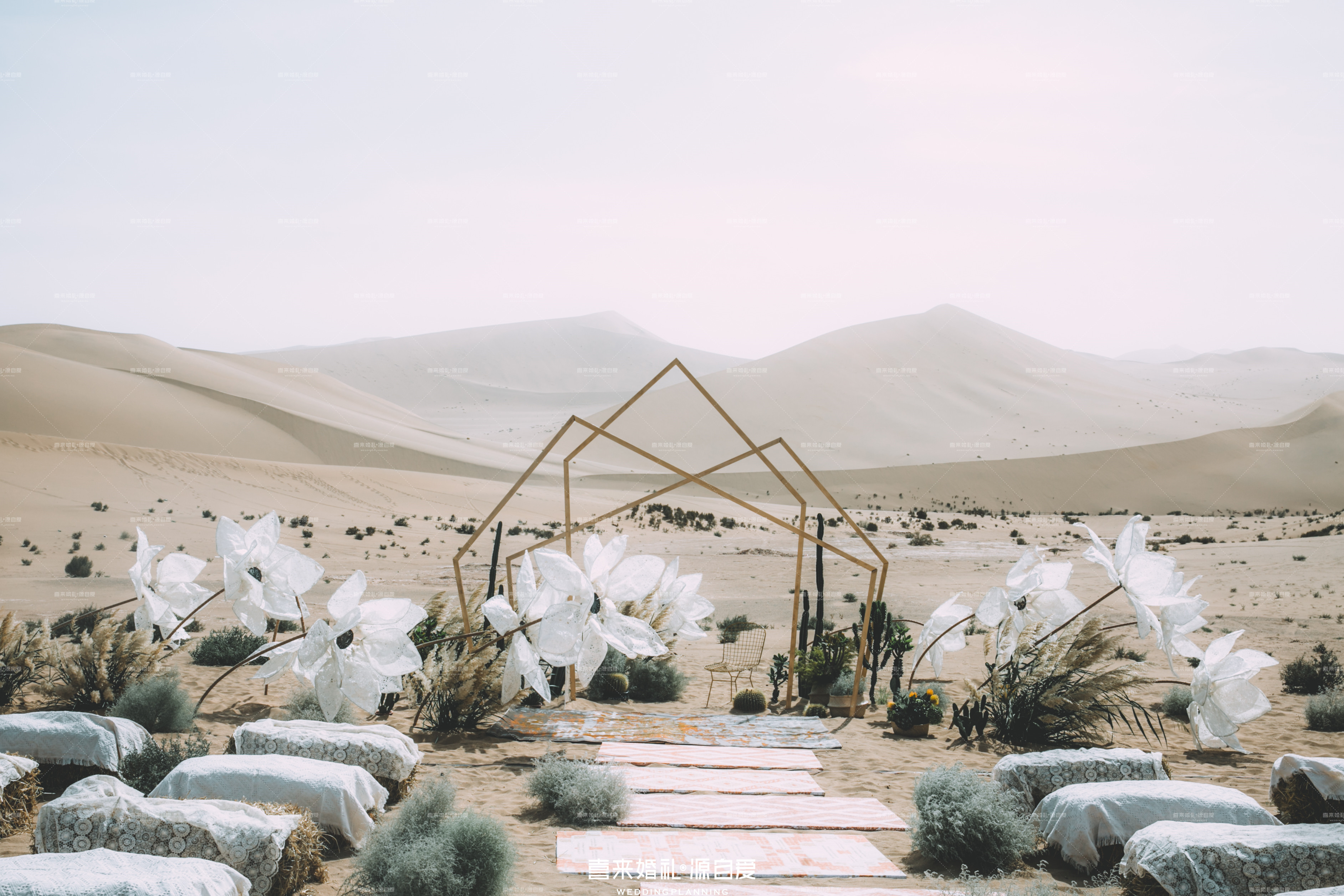 沙漠婚礼-仪式